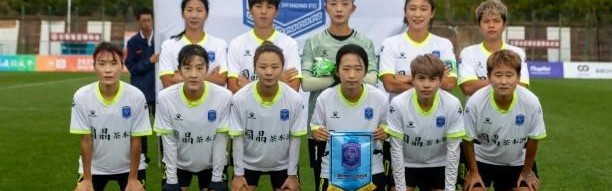 世界杯高清观看-苗原：平果男女足俱乐部公司法人双双被限高