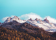 世界杯手机观看-再轰35+！有了胜利加持的特雷·扬真要冲刺MVP了？